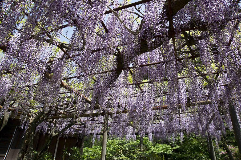 Nanzanso Izunokuni Exterior photo